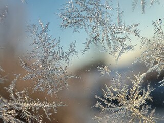 Macro shot of ice crystals on a window pane