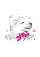 Happy Swiss Shepherd puppy with pink flowers and hearts