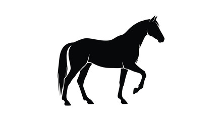 Obraz premium A striking black horse stands in a dynamic pose beautifully rendered as a silhouette