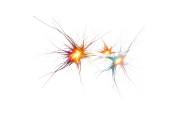 Colorful neurons isolated on transparent background