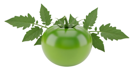 green tomato fruit 3d icon isolated on transparent background fresh vegetable and organic food concept.png