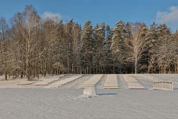 Winter Landscape with fair trees under the snow Frozen and sunny day. 
