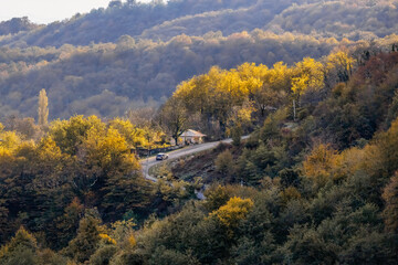 Obraz premium The winding road with a house in the middle of a forest.