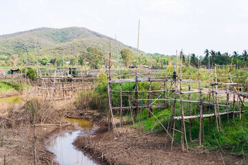 Fish handling equipment called "Yo" in Thai