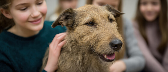 Friendly therapy dog pediatric care hospital visit child patient comfort animal emotional support gentle touch furry companion healing moment compassionate care. Friendly therapy dog offers