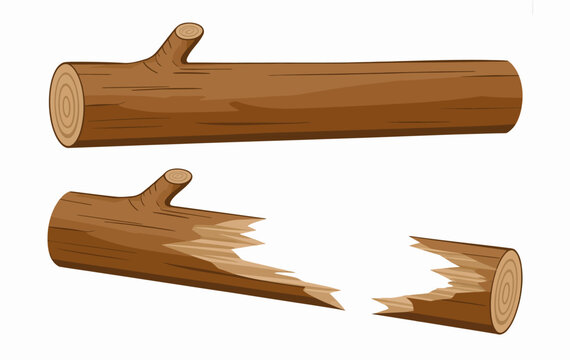 Brown wooden logs intact and broken in half with visible grain and bark texture timber lumber