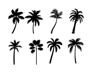 Naklejka premium Collection of black silhouette palm trees with varied frond shapes and trunk styles a white background
