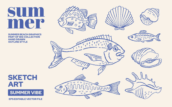 Fish sardine, food illustration. Doodle sea food drawing. Tuna, salmon, mackerel, sardine, scallop vector. Sketch graphic with Mediterranean seafood. Plate icon, vintage chalk pattern. Sea cooking bg