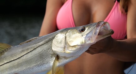 A girl in a bikini holds a fish while fishing. young woman holding a fish