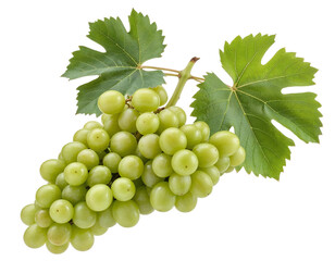 Obraz premium Green Grapes Bunch with Leaves Isolated on Black
