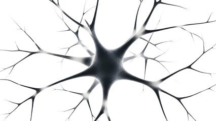 Neuron cell structure with dendrites and axon