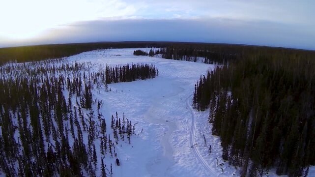 Dog sled team and Musher running in the Alaskan wilderness