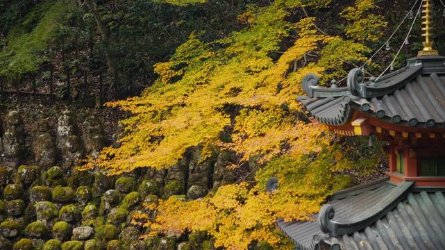 Japanese temple pagoda with yellow autumn leaves
