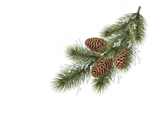 Snowy pine branch with pinecones christmas decoration