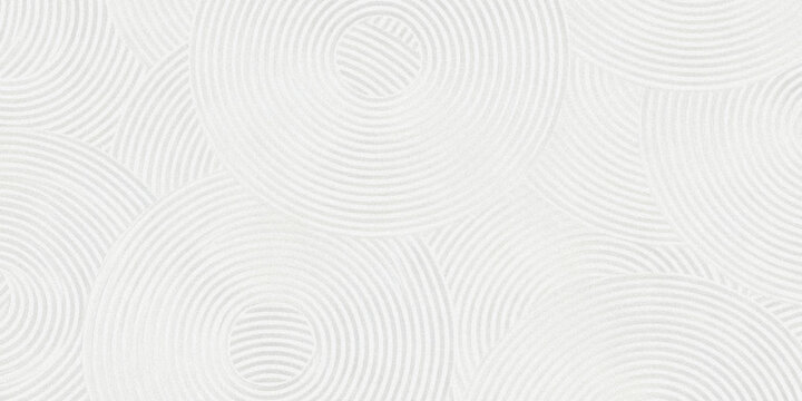 a subtle and elegant background featuring a repeating pattern of concentric circles in a monochromatic white tone high quality professional detailed