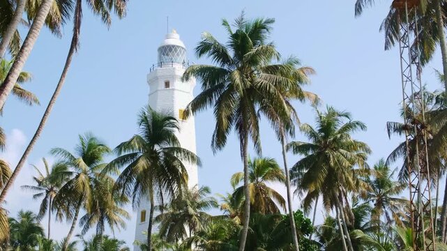 View of the white, tall lighthouse on the southern tip of the island of Sri Lanka. The lighthouse is surrounded by lush coconut trees.