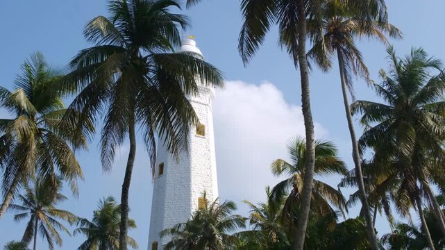 View of the white, tall lighthouse on the southern tip of the island of Sri Lanka. The lighthouse is surrounded by lush coconut trees.