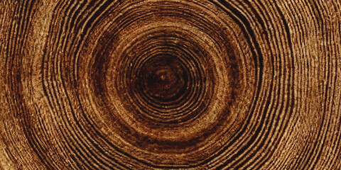 A detailed close up view of a tree trunk s cross section reveals concentric rings of wood showcasing natural patterns © Nasrin