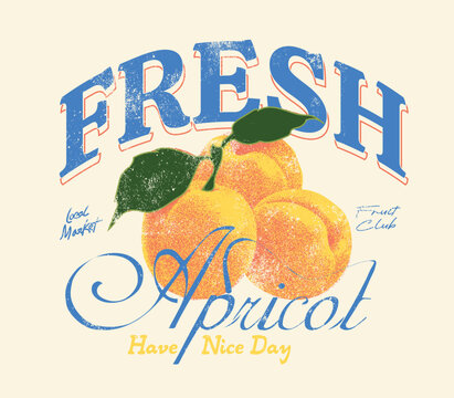 Fresh peace fruit print. Peaches fruit artwork. Organic food artwork for for t-shirt. Fruit vintage t-shirt design. vintage retro Summer food poster design.