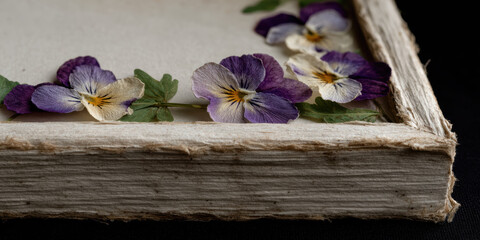 Pressed flower rustic frame handmade paper botanical art natural texture violet petal craft detail vintage style floral border delicate leaf. Pressed flower rustic frame handmade paper showcases