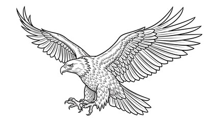 Obraz premium Eagle in flight with outstretched wings.