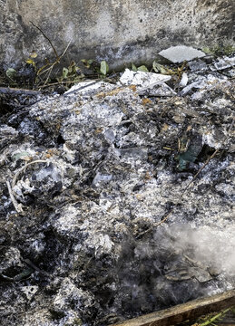 Burned human bones