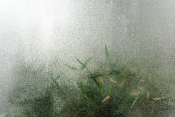 Intimate View: Blurry Grass Through Frosted Glass for Abstract Nature Backdrop, Serene & Soft...