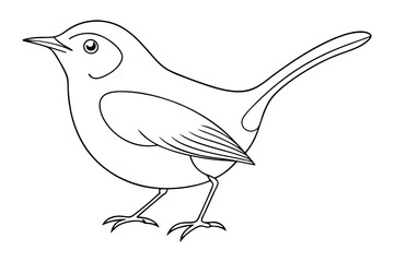 line drawing wren bird outline small songbird illustration