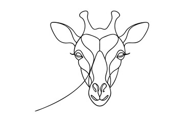 Line drawing giraffe head wildlife animal outline illustration