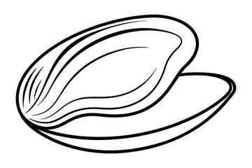 Line drawing mussel shell seafood ocean animal outline art