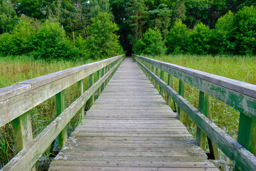 Wooden footbridge over reeds at Jezioro Dołgie Małe near Smoldziński Las reserve, Poland