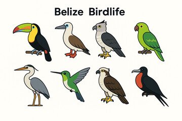 Fototapeta premium Belize Birdlife Icon Set with Tropical Birds and Wildlife