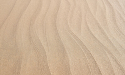 warm photograph textured curved sand surface shades beige taupe shot directly shallow depth