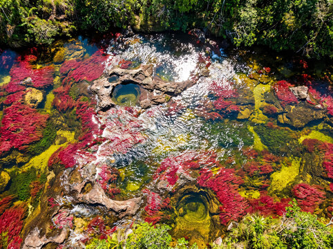 Ca&ntilde;o Cristales w Kolumbii, rzeka pięciu kolor&oacute;w z lotu ptaka