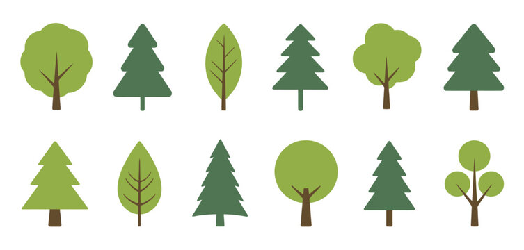 Collection of stylized green trees and pine trees with brown trunks a white background forest nature