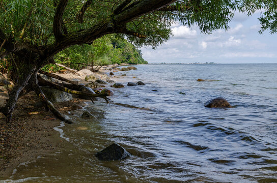 Rocky sea shore with trees and gentle waves under dramatic cloudy sky summer landscape - Powered by Adobe