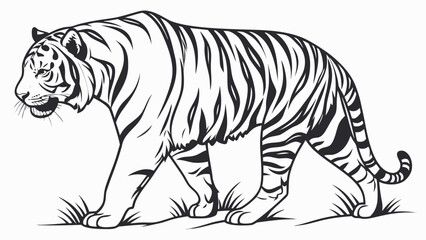 Obraz premium a detailed black and white illustration of a majestic tiger walking through tall grass silhouette