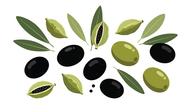 Black and green olives scatter around cardamom pods and olive tree leaves closely.