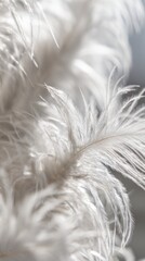 Fototapeta premium lightness. Delicate white feather showcasing intricate textures under natural sunlight. wildlife magazines, conservation campaigns, designed for eco-tourism storytelling. 