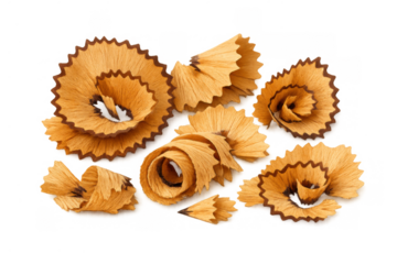 Pencil wood shavings creating spiral and curled shapes, showing graphite remnants on a transparent background