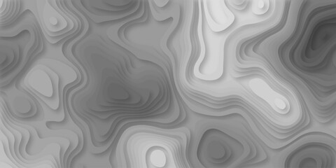 Abstract topography pattern seamless lines sea map modern design white background. Abstract digital topographic contour map concept space geometric strip grid line. Natural discovery of maps. © coal digger