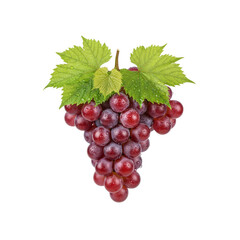Fototapeta premium Red grapes with green leaves