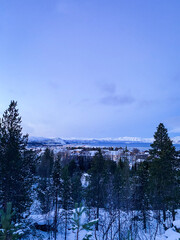 Blick auf Alta, Fjord und verschneite Berge