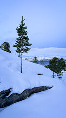 Blick auf Alta, Fjord und verschneite Berge