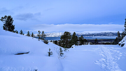Blick auf Alta, Fjord und verschneite Berge