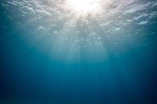 Sunlight shines through water in the Red Sea near coral reefs