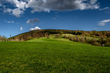 Rural Summer Landscape With Forest And Green Pastures In Austria
