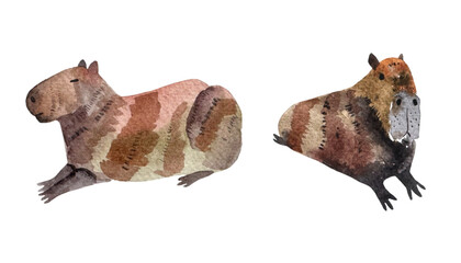 Watercolor capybaras. Hand-drawn watercolor capybaras. Capybara painting.
