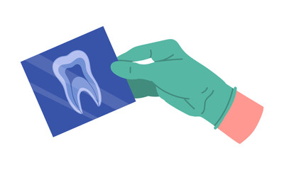 Dental x-ray in doctor hans. Stomatologist hand in rubber gloves holding dental x-ray flat vector illustration set. Cartoon dentist hand on white