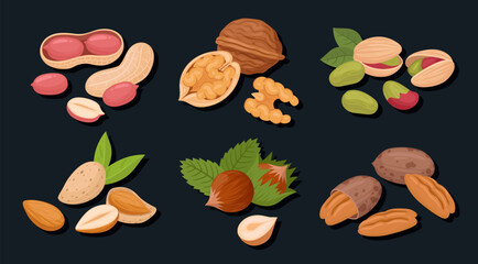 Nuts handfuls. Raw nuts mix, almond, macadamia and walnut mix, vegetarian diet organic snack flat vector illustration set. Delicious nuts